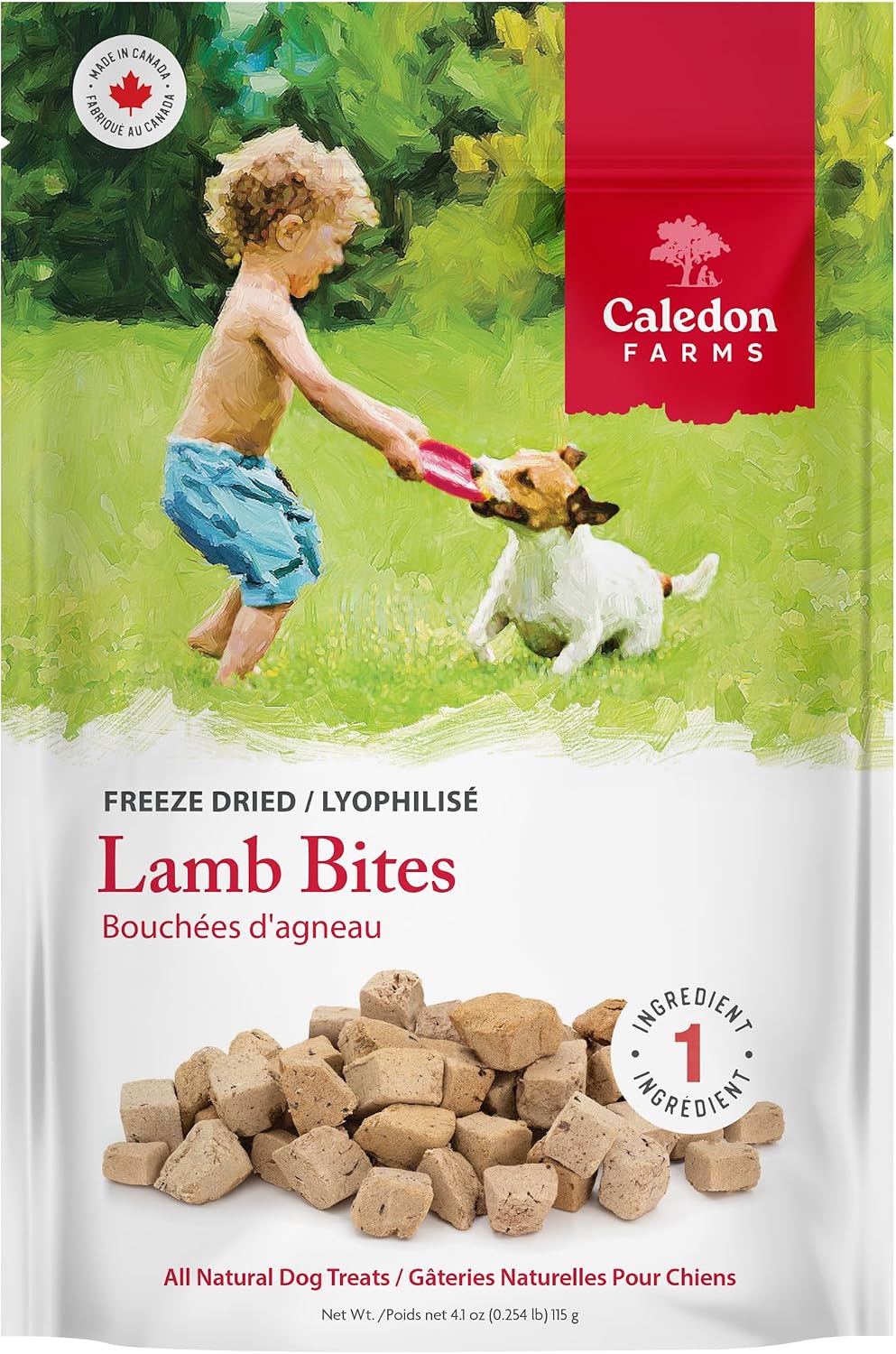 Freeze Dried Dog Treats - Salmon 3.2OZ