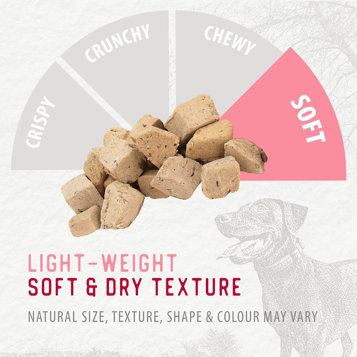 Freeze Dried Dog Treats - Salmon 3.2OZ