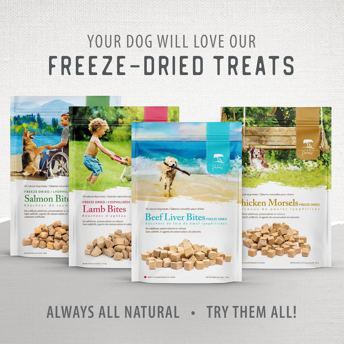 Freeze Dried Dog Treats - Salmon 3.2OZ