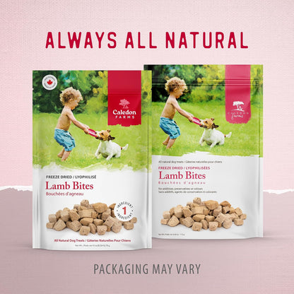 Freeze Dried Dog Treats - Salmon 3.2OZ