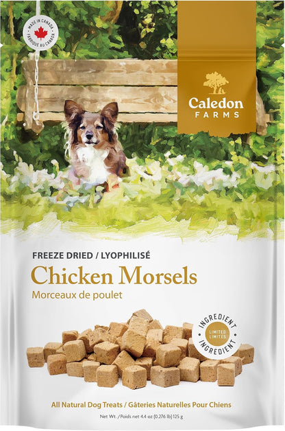 Freeze Dried Dog Treats - Salmon 3.2OZ