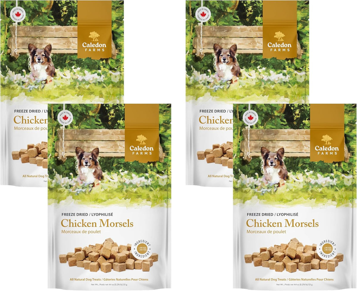 Freeze Dried Dog Treats - Salmon 3.2OZ