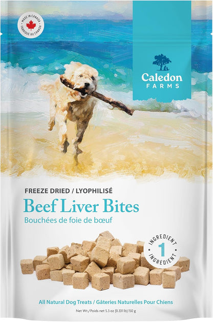 Freeze Dried Dog Treats - Salmon 3.2OZ