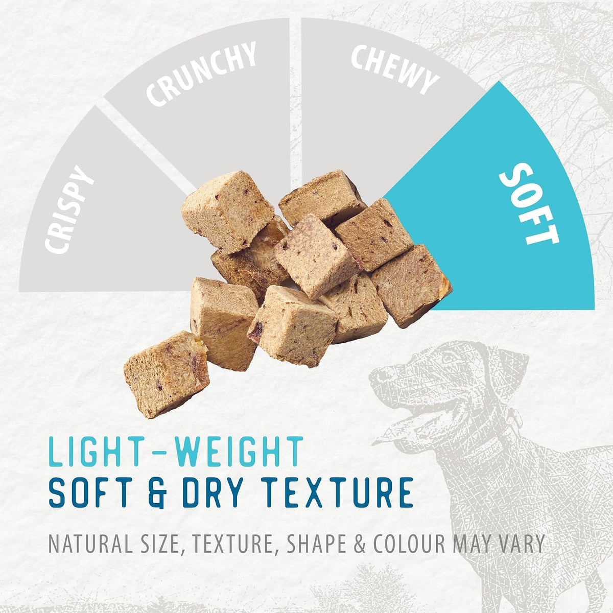 Freeze Dried Dog Treats - Salmon 3.2OZ