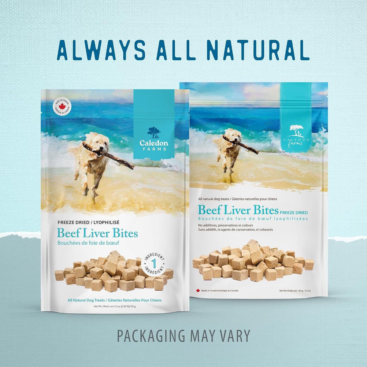 Freeze Dried Dog Treats - Salmon 3.2OZ