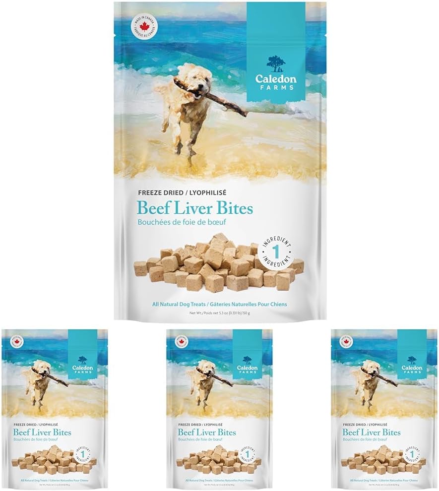Freeze Dried Dog Treats - Salmon 3.2OZ
