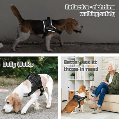 AUROTH Dog Harness and Leash Set for Medium Sized Dog, No Pull Dog Vest