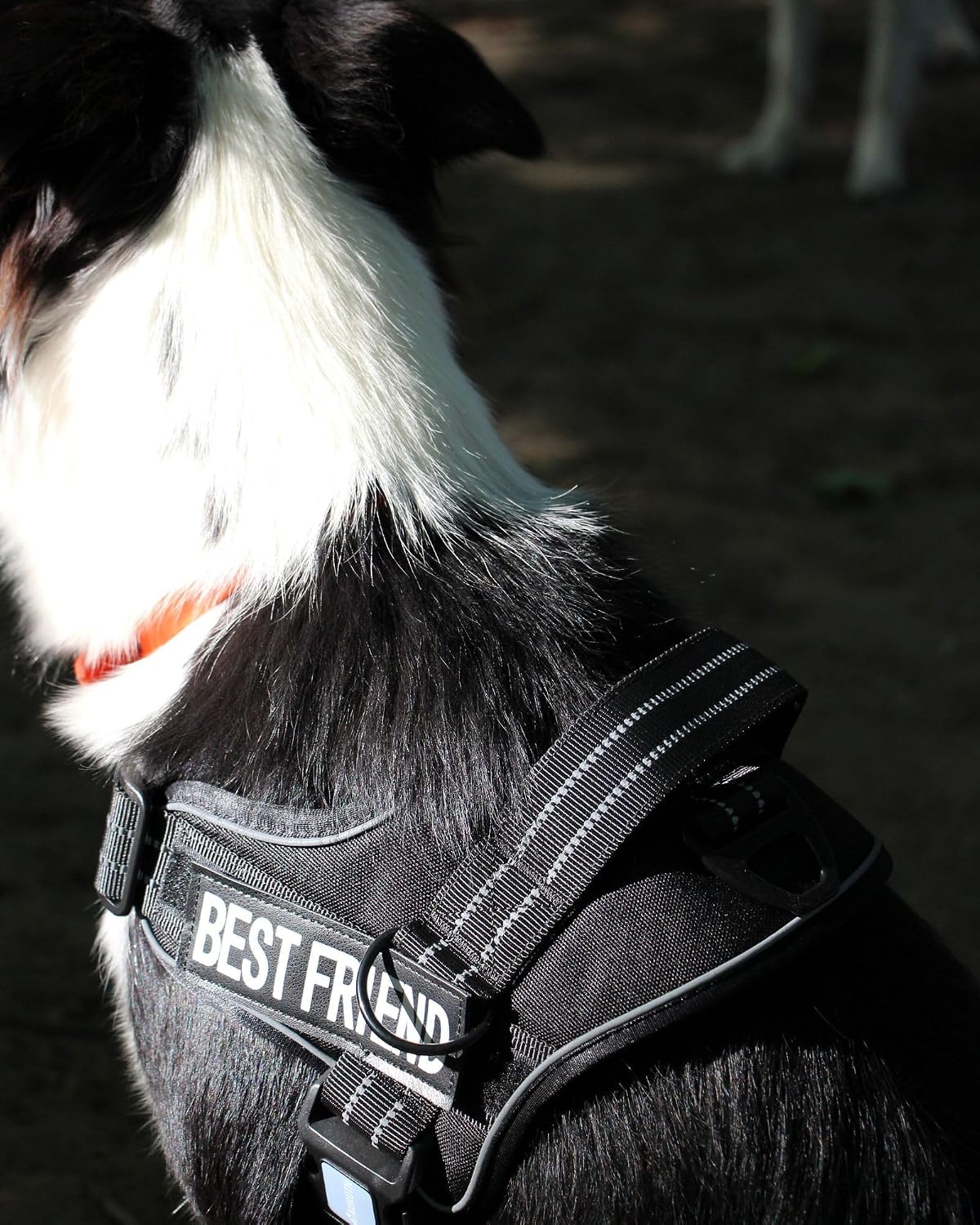AUROTH Dog Harness and Leash Set for Medium Sized Dog, No Pull Dog Vest