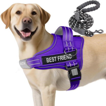 AUROTH Dog Harness and Leash Set for Medium Sized Dog, No Pull Dog Vest