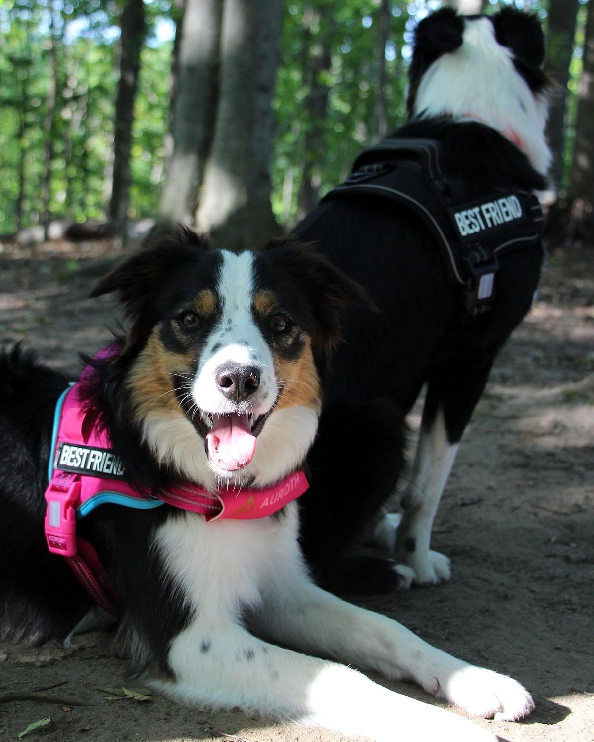 AUROTH Dog Harness and Leash Set for Medium Sized Dog, No Pull Dog Vest