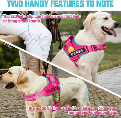 AUROTH Dog Harness and Leash Set for Medium Sized Dog, No Pull Dog Vest