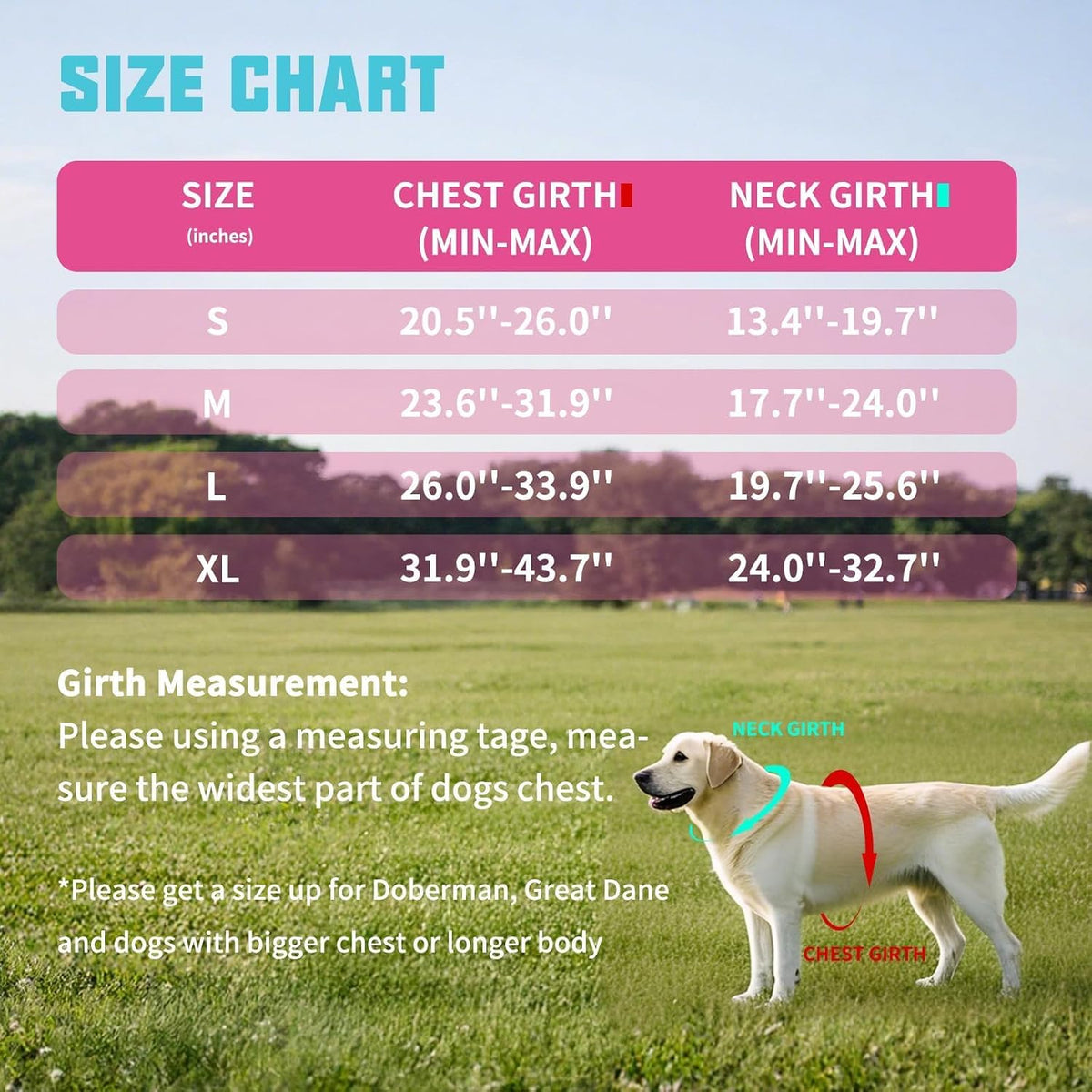 AUROTH Dog Harness and Leash Set for Medium Sized Dog, No Pull Dog Vest