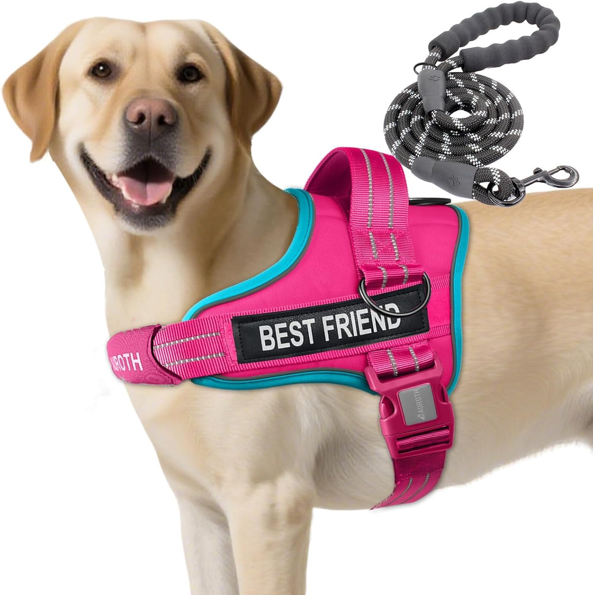 AUROTH Dog Harness and Leash Set for Medium Sized Dog, No Pull Dog Vest