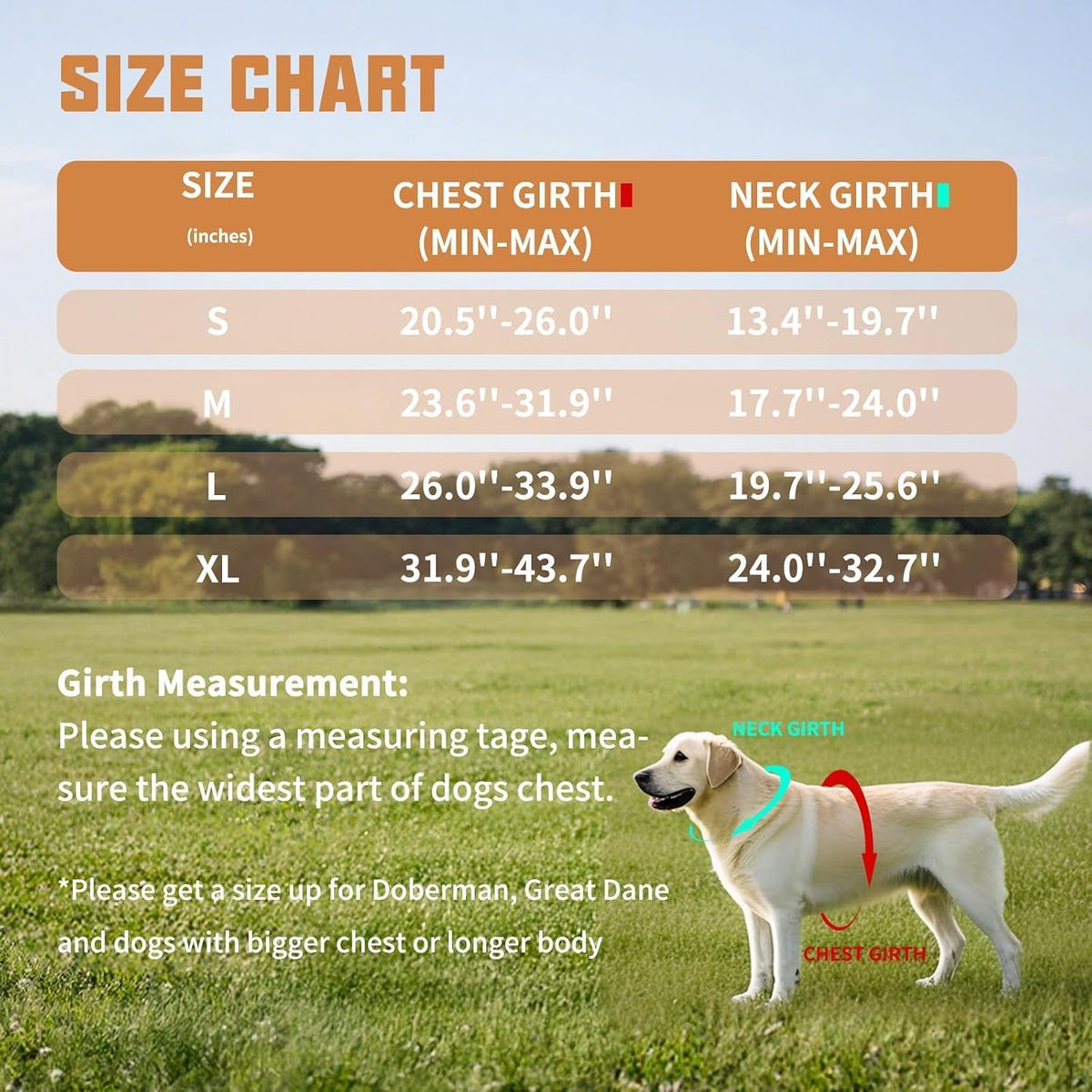 AUROTH Dog Harness and Leash Set for Medium Sized Dog, No Pull Dog Vest