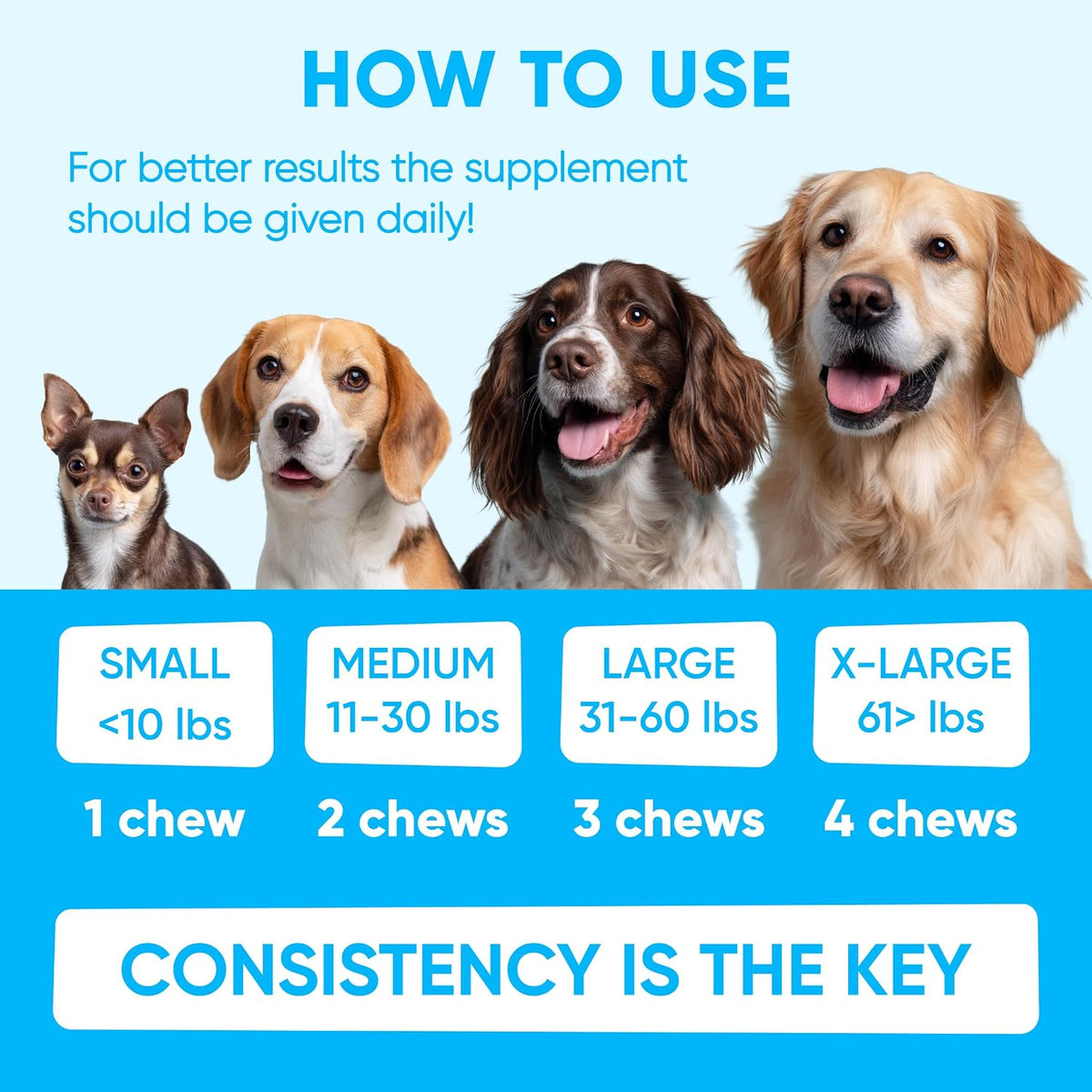 Chewable Flea and Tick Prevention for Dogs - 120 Soft Chews Made in USA - Oral Flea and Tick Control Pills for Small, Medium, Large Dogs and Puppies - Skin and Coat Supplement Treats for All Breeds