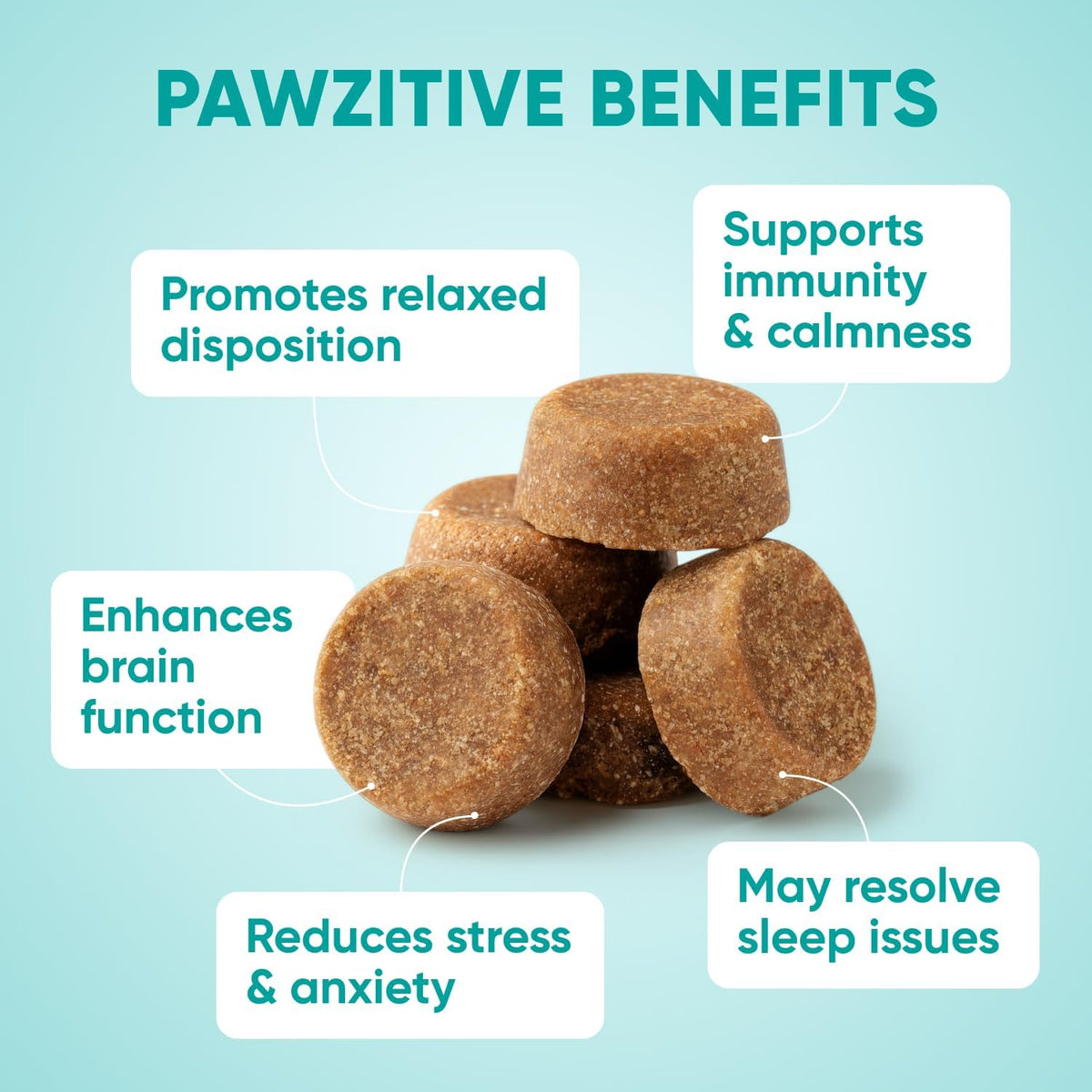Chewable Flea and Tick Prevention for Dogs - 120 Soft Chews Made in USA - Oral Flea and Tick Control Pills for Small, Medium, Large Dogs and Puppies - Skin and Coat Supplement Treats for All Breeds