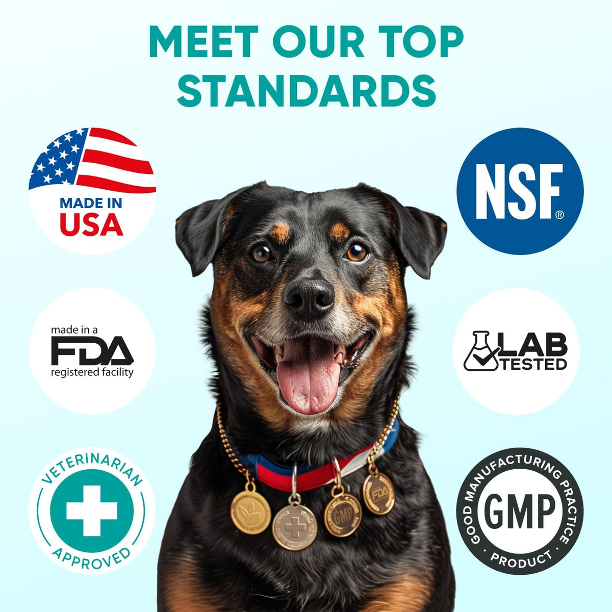 Chewable Flea and Tick Prevention for Dogs - 120 Soft Chews Made in USA - Oral Flea and Tick Control Pills for Small, Medium, Large Dogs and Puppies - Skin and Coat Supplement Treats for All Breeds