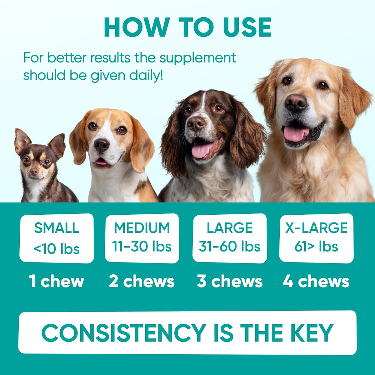 Chewable Flea and Tick Prevention for Dogs - 120 Soft Chews Made in USA - Oral Flea and Tick Control Pills for Small, Medium, Large Dogs and Puppies - Skin and Coat Supplement Treats for All Breeds