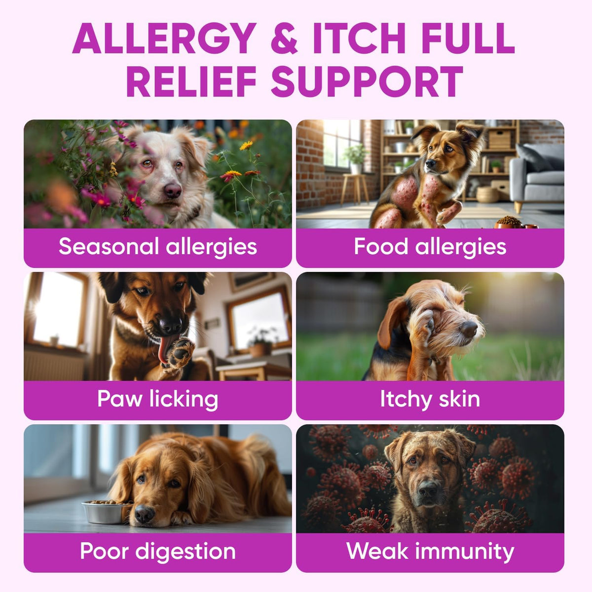 Chewable Flea and Tick Prevention for Dogs - 120 Soft Chews Made in USA - Oral Flea and Tick Control Pills for Small, Medium, Large Dogs and Puppies - Skin and Coat Supplement Treats for All Breeds