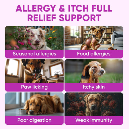 Chewable Flea and Tick Prevention for Dogs - 120 Soft Chews Made in USA - Oral Flea and Tick Control Pills for Small, Medium, Large Dogs and Puppies - Skin and Coat Supplement Treats for All Breeds