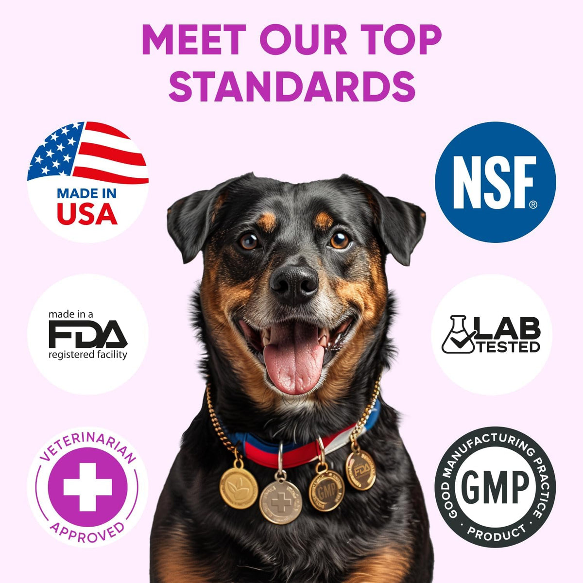 Chewable Flea and Tick Prevention for Dogs - 120 Soft Chews Made in USA - Oral Flea and Tick Control Pills for Small, Medium, Large Dogs and Puppies - Skin and Coat Supplement Treats for All Breeds