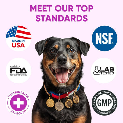 Chewable Flea and Tick Prevention for Dogs - 120 Soft Chews Made in USA - Oral Flea and Tick Control Pills for Small, Medium, Large Dogs and Puppies - Skin and Coat Supplement Treats for All Breeds