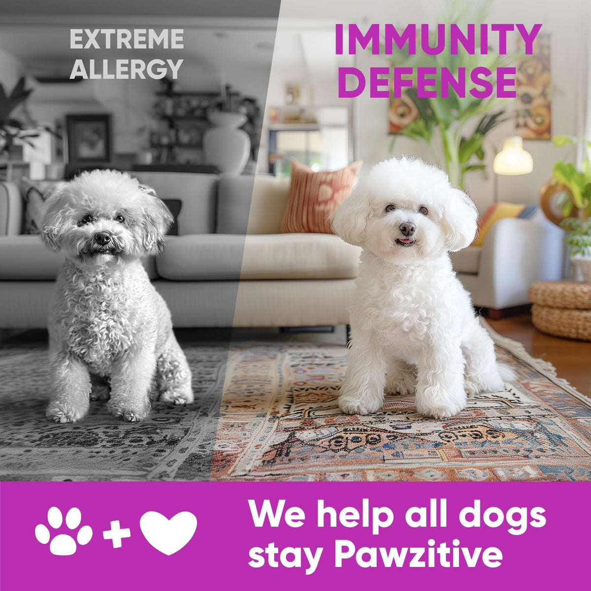 Chewable Flea and Tick Prevention for Dogs - 120 Soft Chews Made in USA - Oral Flea and Tick Control Pills for Small, Medium, Large Dogs and Puppies - Skin and Coat Supplement Treats for All Breeds