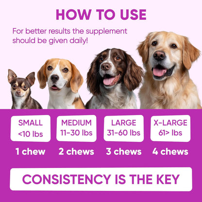 Chewable Flea and Tick Prevention for Dogs - 120 Soft Chews Made in USA - Oral Flea and Tick Control Pills for Small, Medium, Large Dogs and Puppies - Skin and Coat Supplement Treats for All Breeds