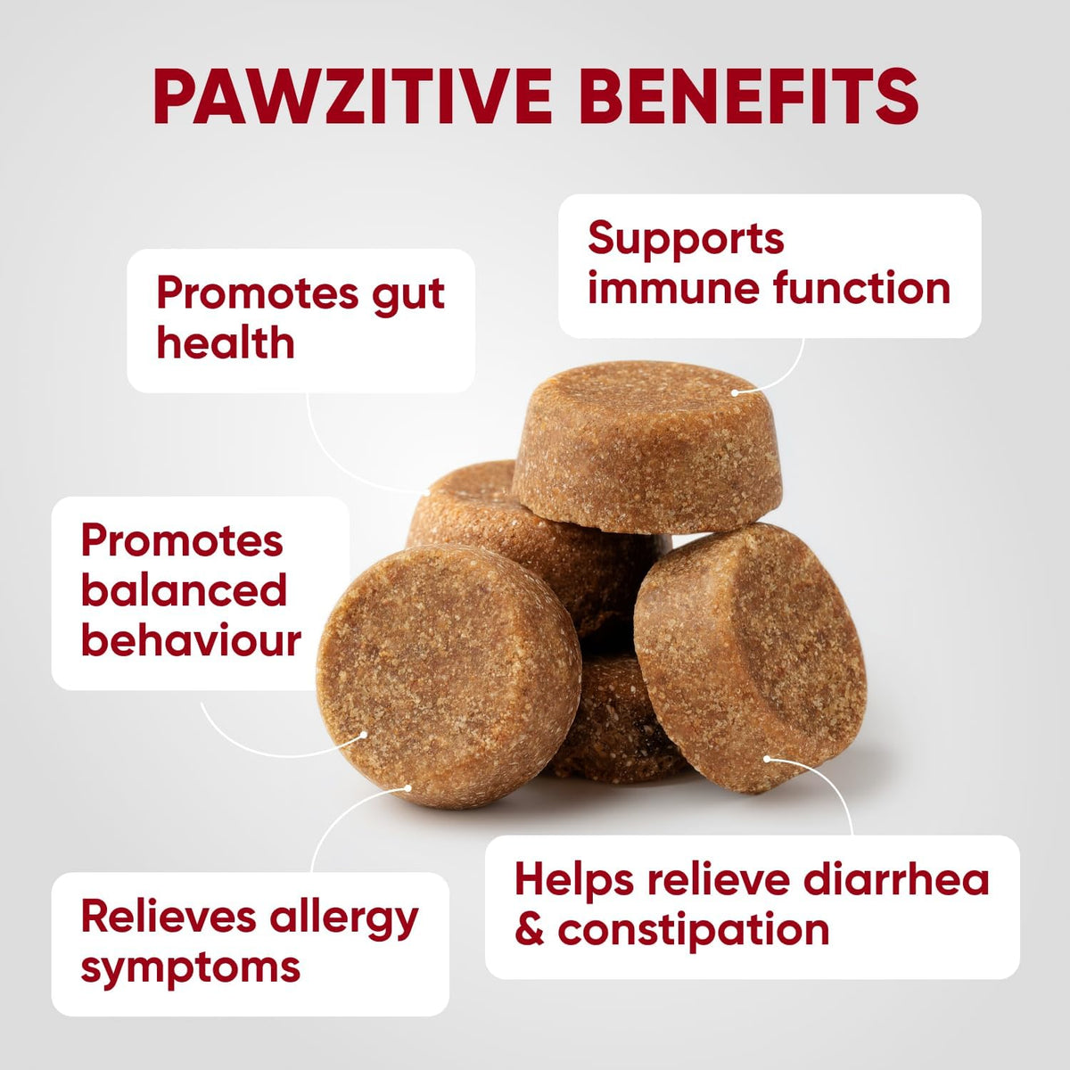 Chewable Flea and Tick Prevention for Dogs - 120 Soft Chews Made in USA - Oral Flea and Tick Control Pills for Small, Medium, Large Dogs and Puppies - Skin and Coat Supplement Treats for All Breeds