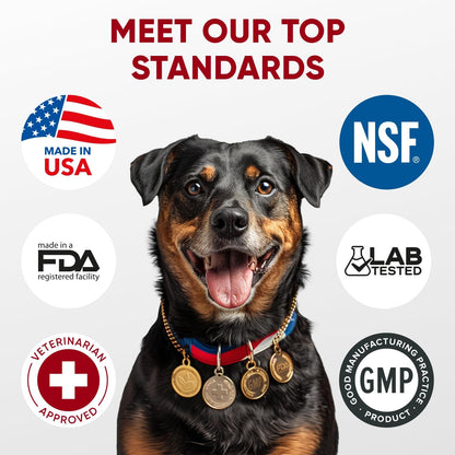 Chewable Flea and Tick Prevention for Dogs - 120 Soft Chews Made in USA - Oral Flea and Tick Control Pills for Small, Medium, Large Dogs and Puppies - Skin and Coat Supplement Treats for All Breeds
