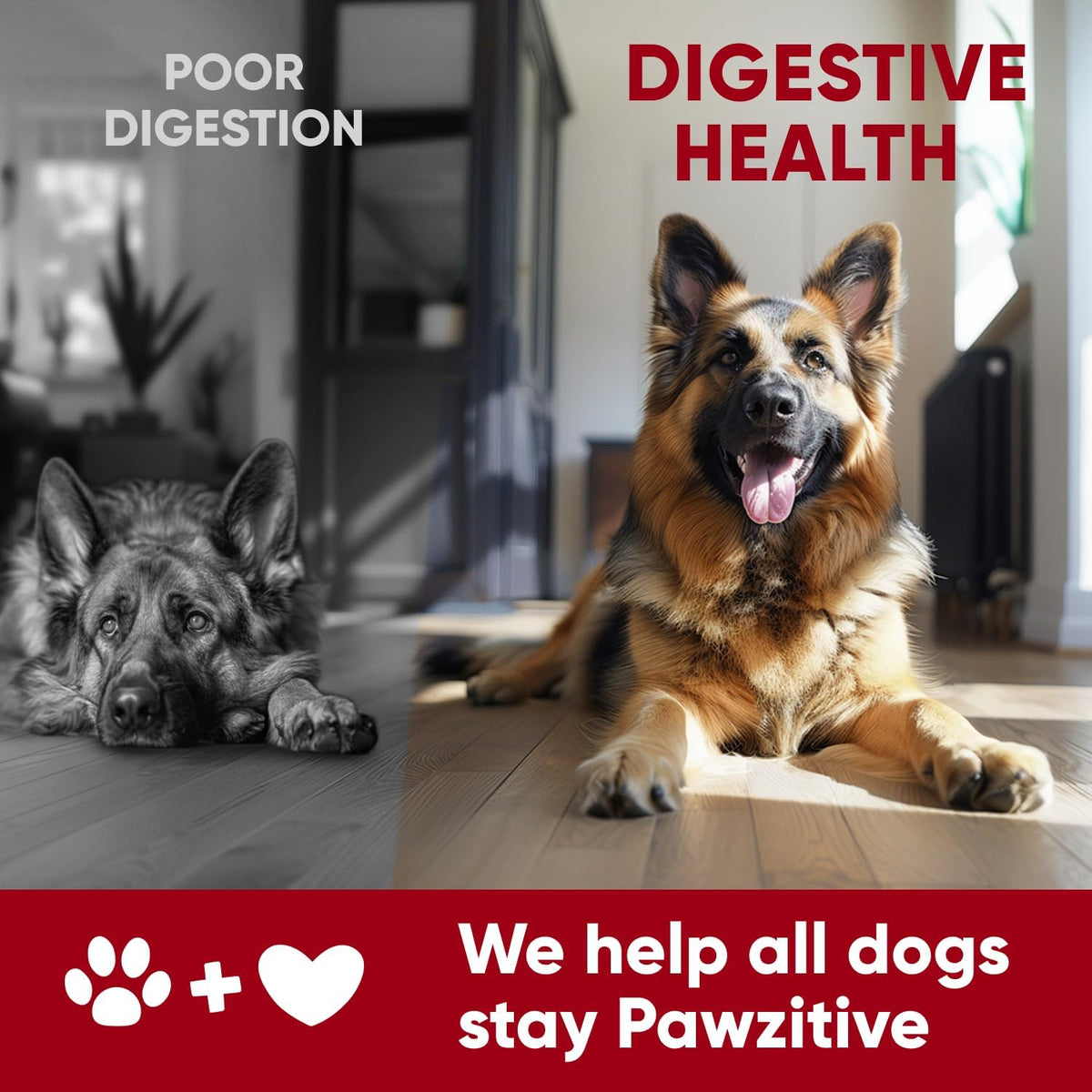Chewable Flea and Tick Prevention for Dogs - 120 Soft Chews Made in USA - Oral Flea and Tick Control Pills for Small, Medium, Large Dogs and Puppies - Skin and Coat Supplement Treats for All Breeds