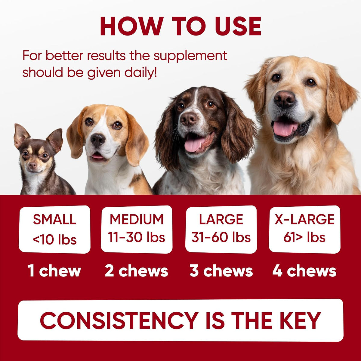 Chewable Flea and Tick Prevention for Dogs - 120 Soft Chews Made in USA - Oral Flea and Tick Control Pills for Small, Medium, Large Dogs and Puppies - Skin and Coat Supplement Treats for All Breeds