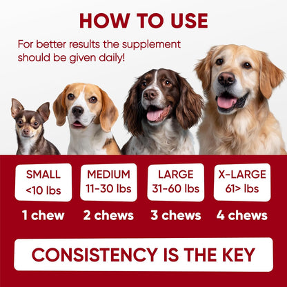 Chewable Flea and Tick Prevention for Dogs - 120 Soft Chews Made in USA - Oral Flea and Tick Control Pills for Small, Medium, Large Dogs and Puppies - Skin and Coat Supplement Treats for All Breeds