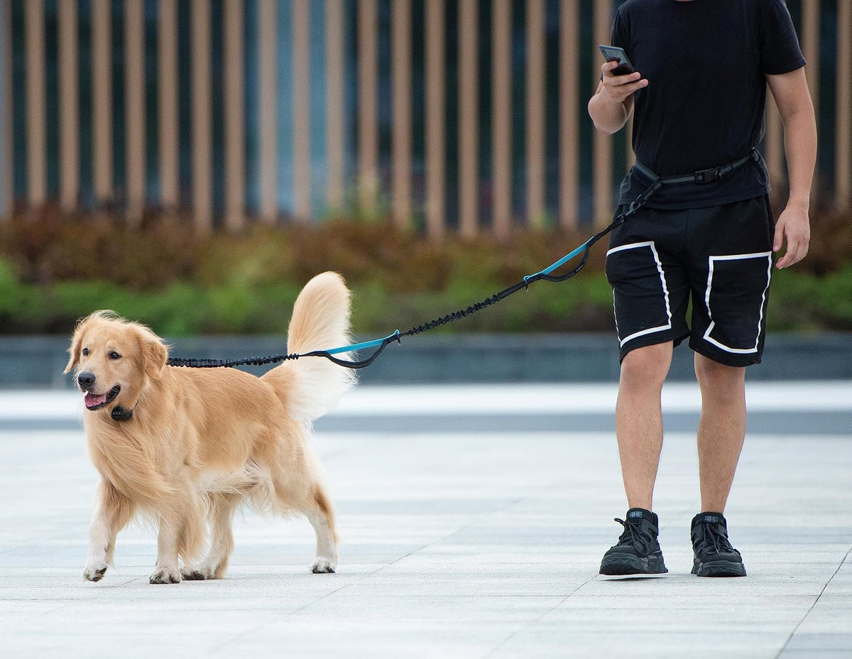 Hands Free Dog Leash with Zipper Pouch, Large, 25-120 lbs, Black