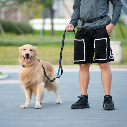 Hands Free Dog Leash with Zipper Pouch, Large, 25-120 lbs, Black