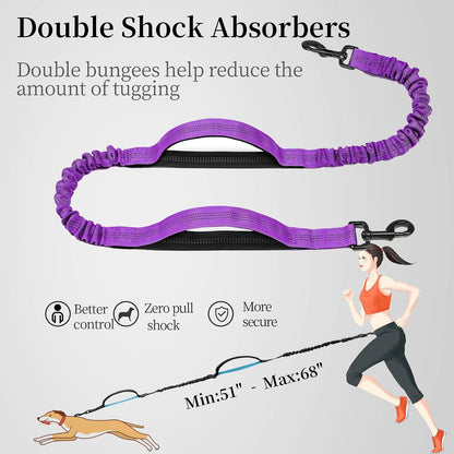 Hands Free Dog Leash with Zipper Pouch, Large, 25-120 lbs, Black