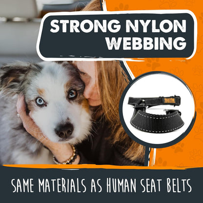 Dog Seat Belt for Car Headrest, for Small, Medium & Large Dogs