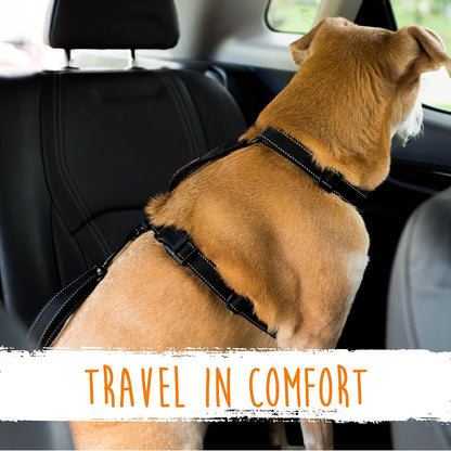 Dog Seat Belt for Car Headrest, for Small, Medium & Large Dogs