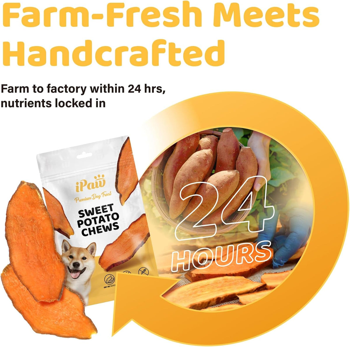 iPaw Sweet Potato Dog Treats, SQF-Certified Production Process Dog Chew
