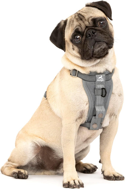 Enhanced Strength Tru-Fit Smart Harness, Charcoal, Large