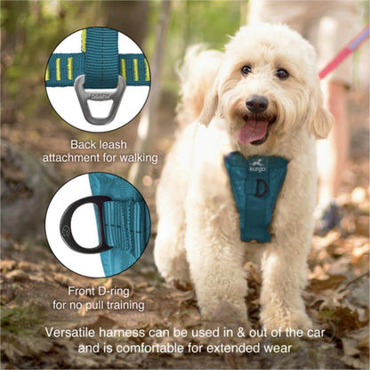 Enhanced Strength Tru-Fit Smart Harness, Charcoal, Large