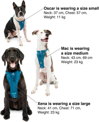 Enhanced Strength Tru-Fit Smart Harness, Charcoal, Large