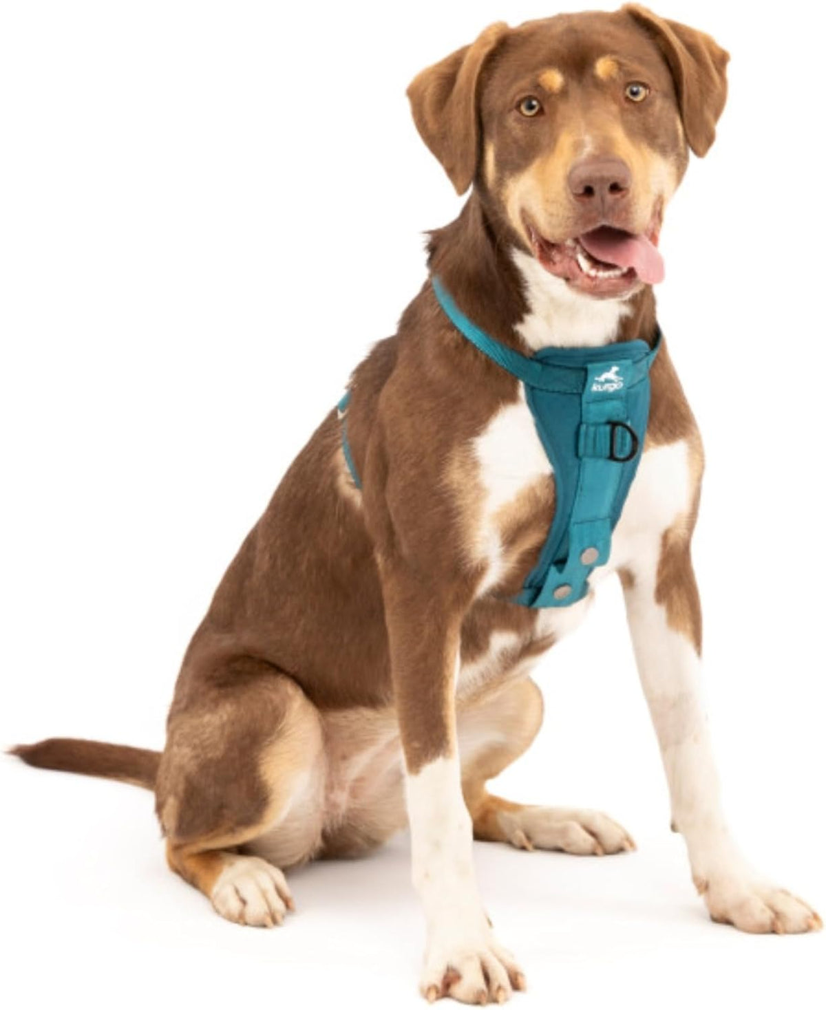 Enhanced Strength Tru-Fit Smart Harness, Charcoal, Large