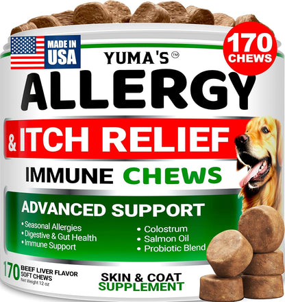Dog Allergy Relief Chews - 170 Treats, Itchy Skin and Seasonal Itch Support