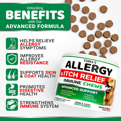 Dog Allergy Relief Chews - 170 Treats, Itchy Skin and Seasonal Itch Support
