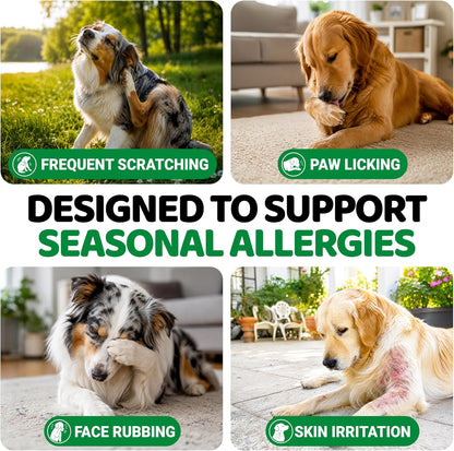 Dog Allergy Relief Chews - 170 Treats, Itchy Skin and Seasonal Itch Support
