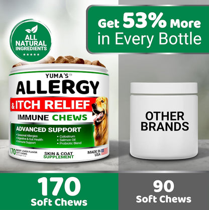 Dog Allergy Relief Chews - 170 Treats, Itchy Skin and Seasonal Itch Support