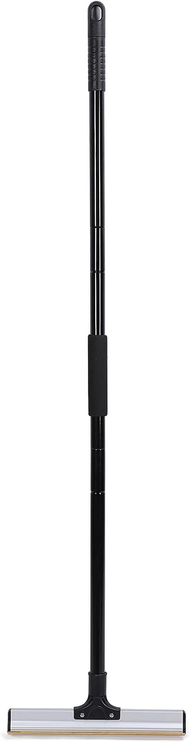 Hair Removal Broom, Handle Carpet Rake, Portable Multifunctional Reusable Tool for Dog Cat Hair Removal, with 4 Accessories, Aluminum Alloy and Iron