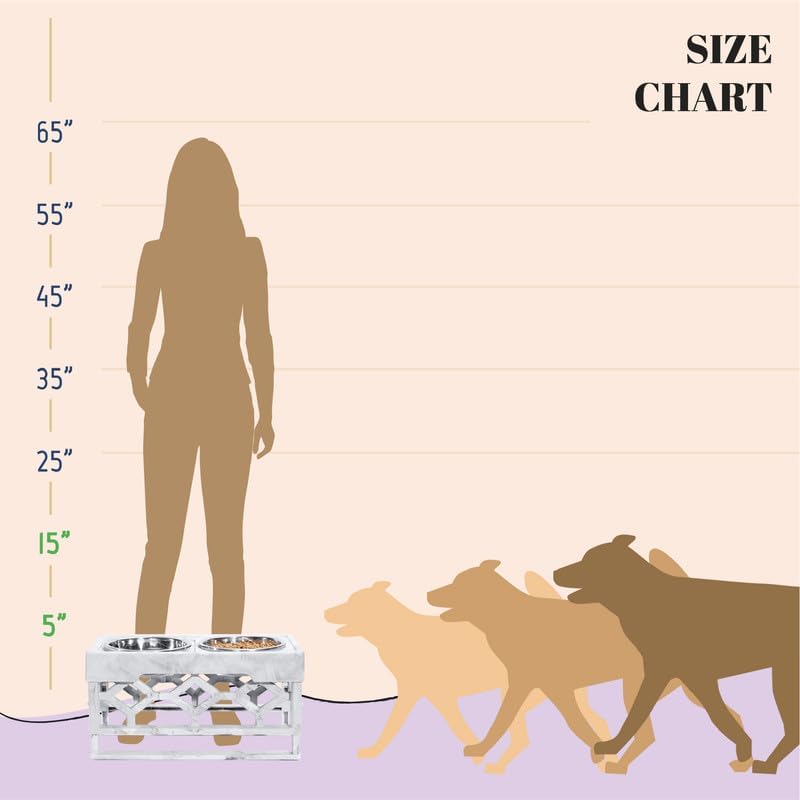 AVERYDAY Elevated Dog Bowls, 4 Height Adjustable Stand for Medium and Large Dogs, Raised Dog Feeder Holder with 2 Stainless Steel Food and Water Bowls, Anti-Slip Base Tall Feeding Station