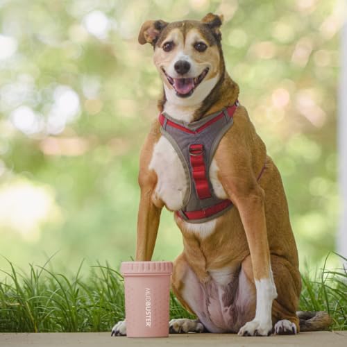Dexas MudBuster Medium Dog Paw Cleaner in Fuchsia - Fits 1.5"-2.5" Wide Paws, Portable Paw Washer for Muddy Paws, Dog Paw Cleaning Cup with Gentle Silicone Bristles, Quick Clean Pet Paw Washer